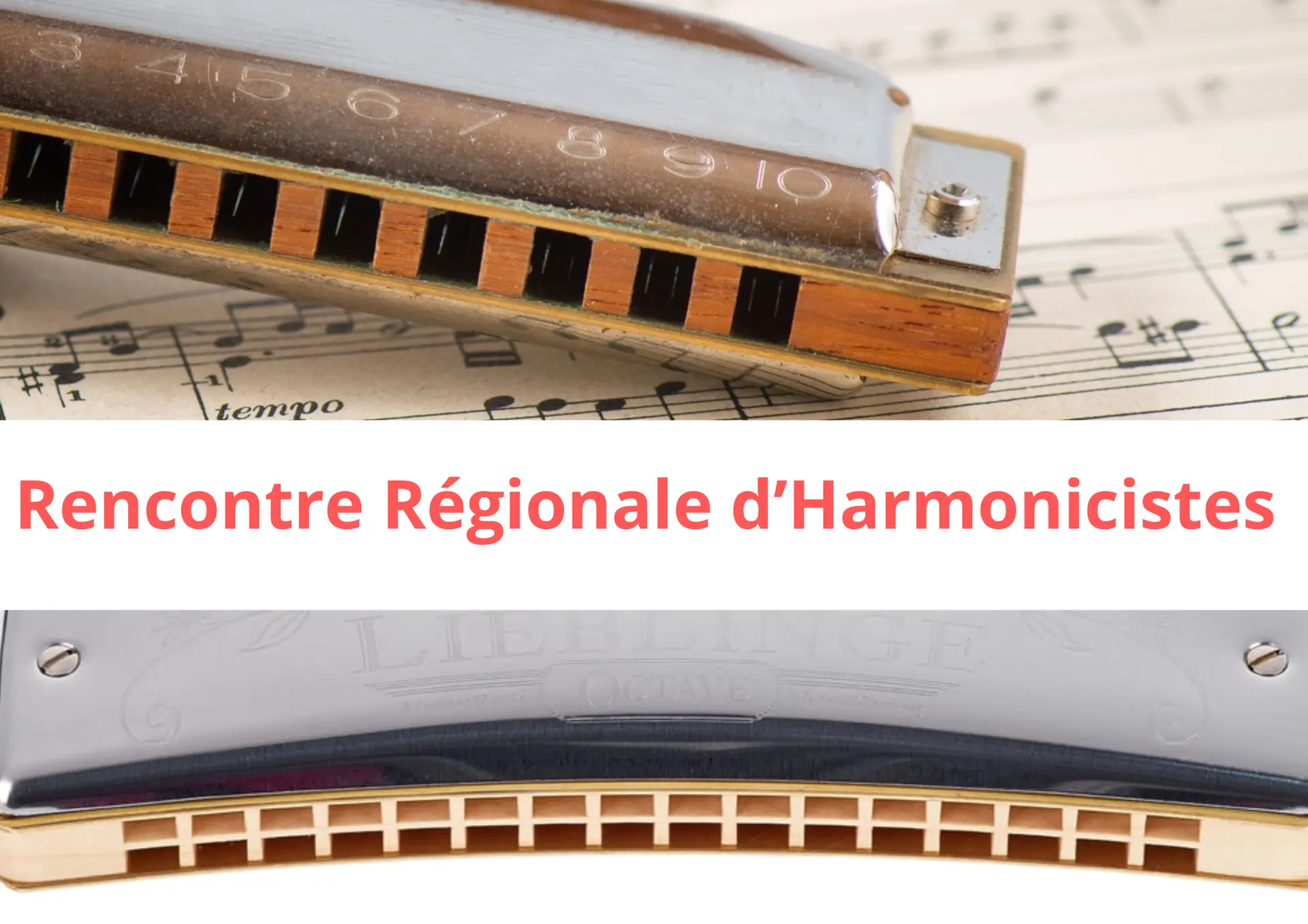 Rencontre régionale d'harmonicistes_Thônes