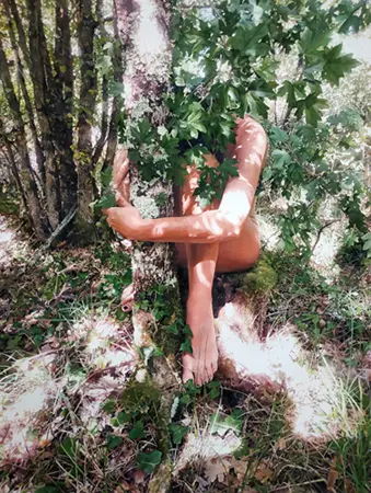 photo d'un corps d'une femme nue caché derrière un arbre
