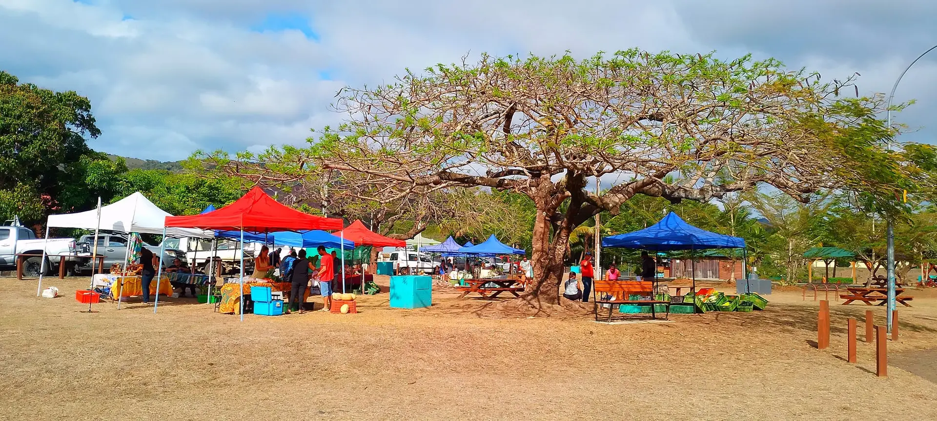 Marché de Proximité_Bourail