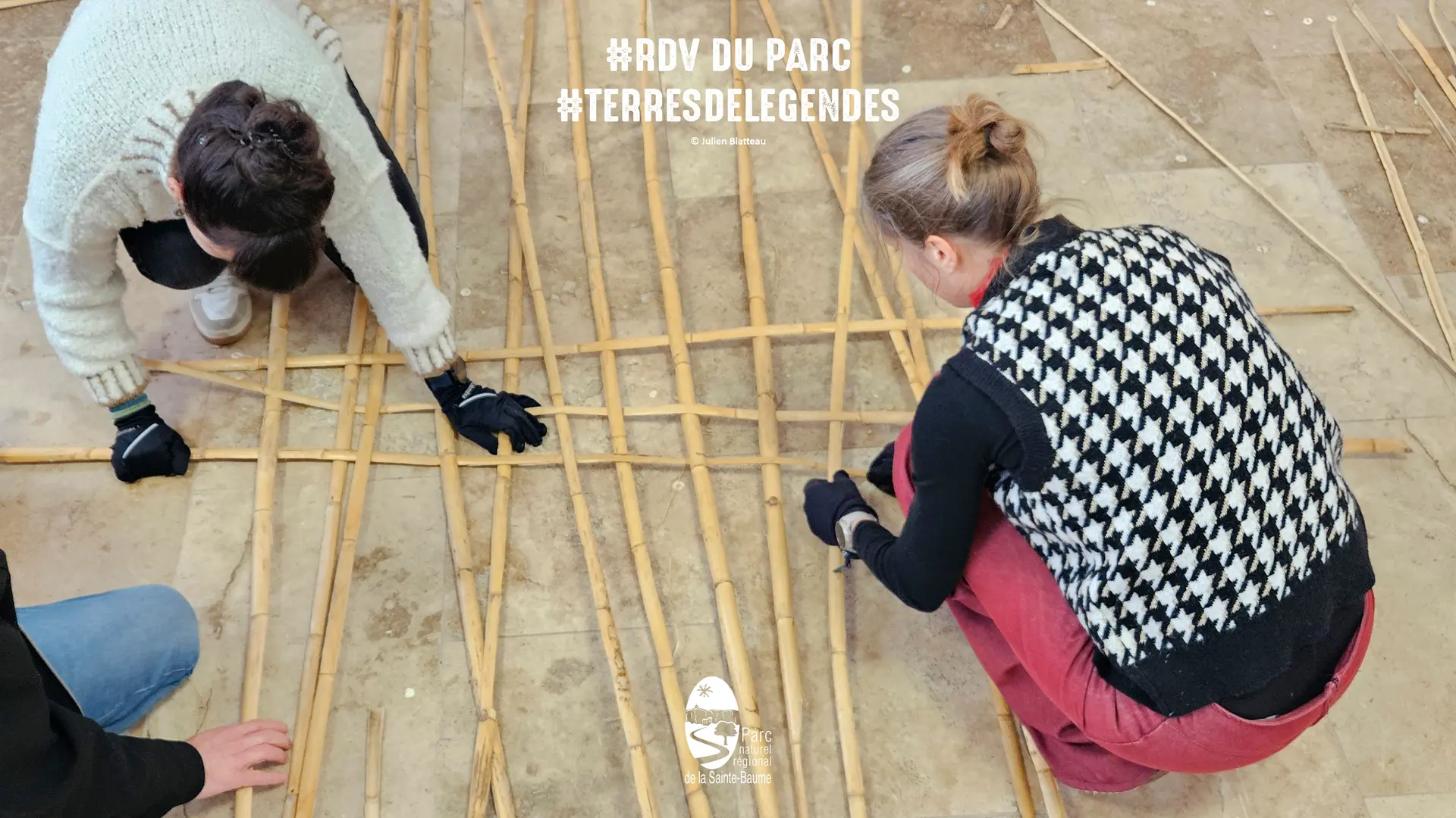 Atelier Terres de Légendes : liens végétaux #RDVduParc