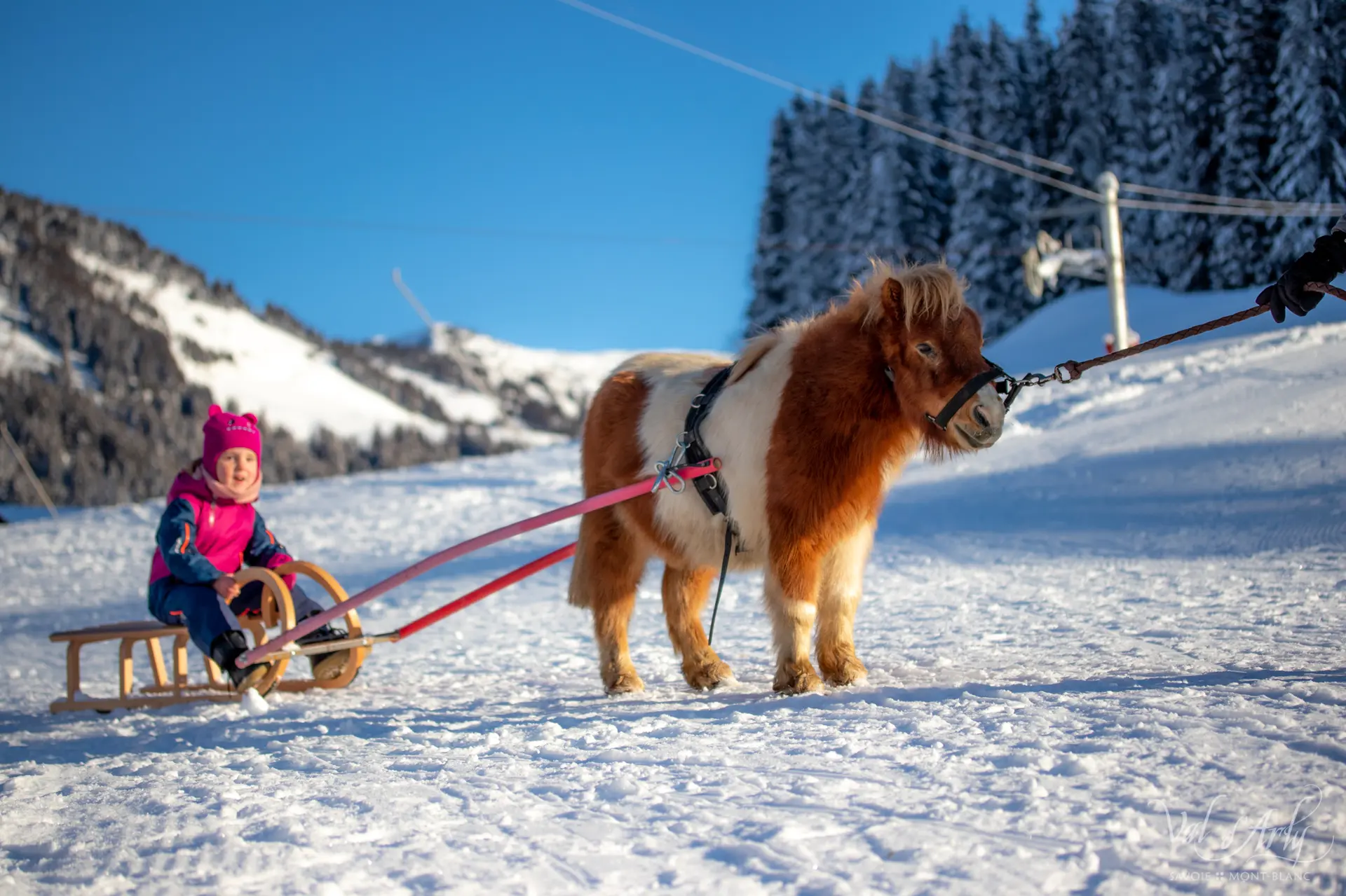 Poney Luge à Notre Dame de Bellecombe
