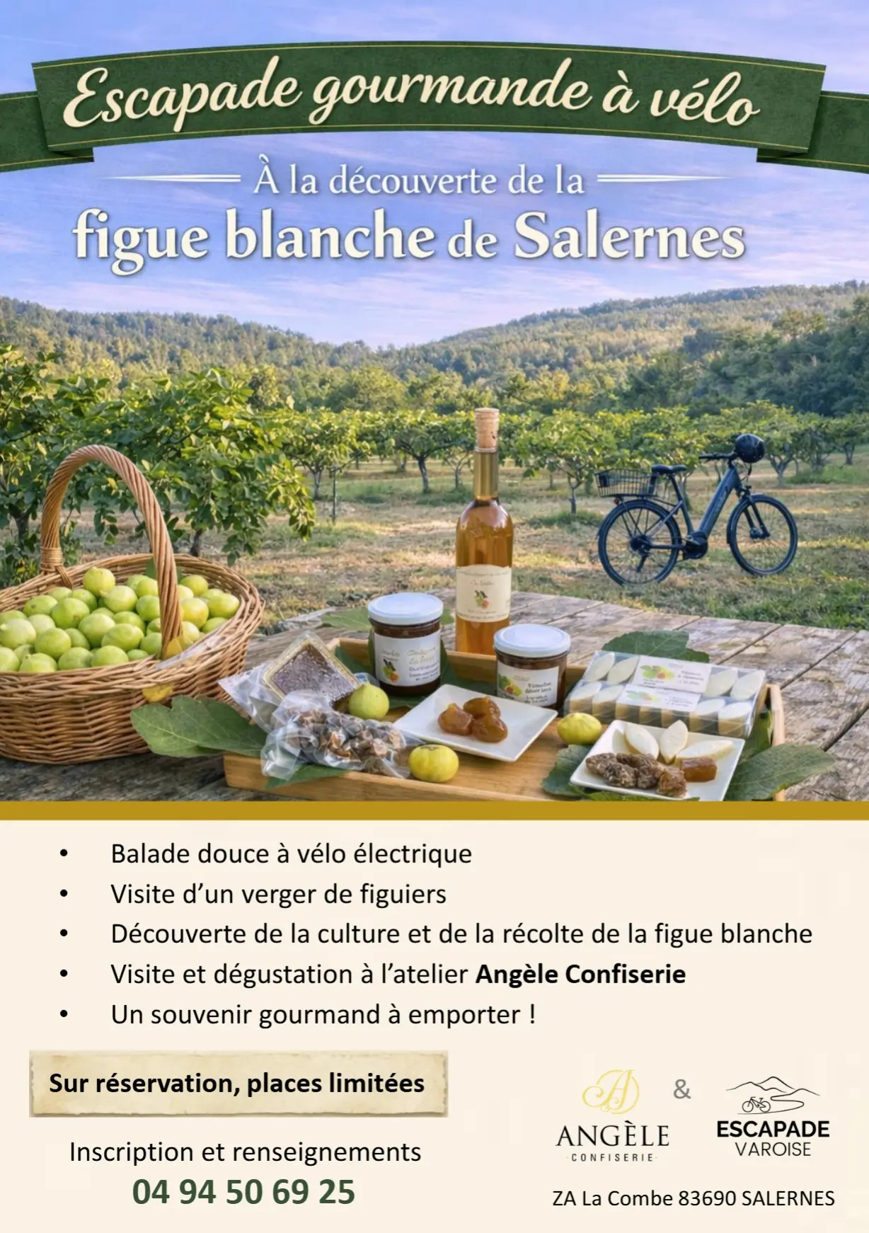 - A la découverte de la figue blanche de Salernes