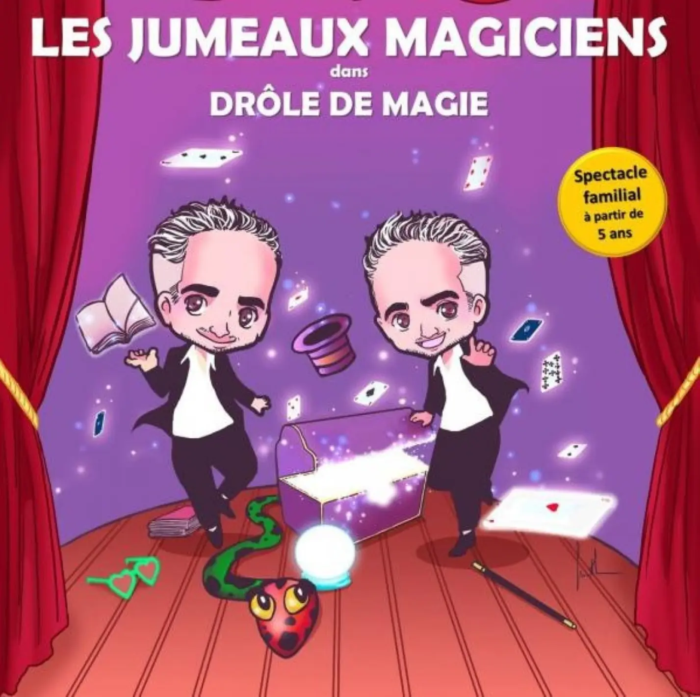 Les jumeaux magiciens dans Drôle de magie