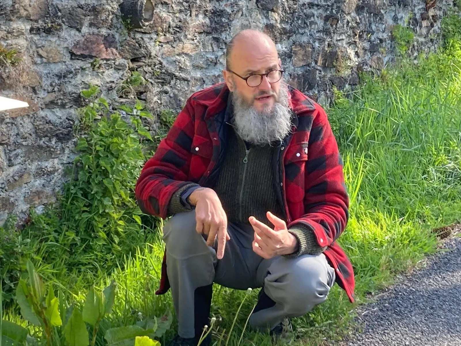 Balade gourmande aux Tours de Merle : À la découverte des plantes sauvages comestibles