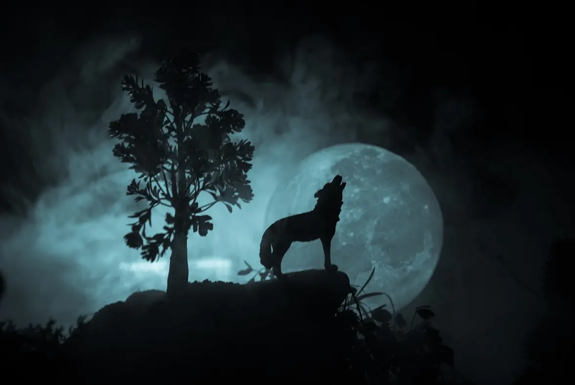 Loup Garou et autres mythes et légendes de la nuit_Saint-Martin-de-Ré