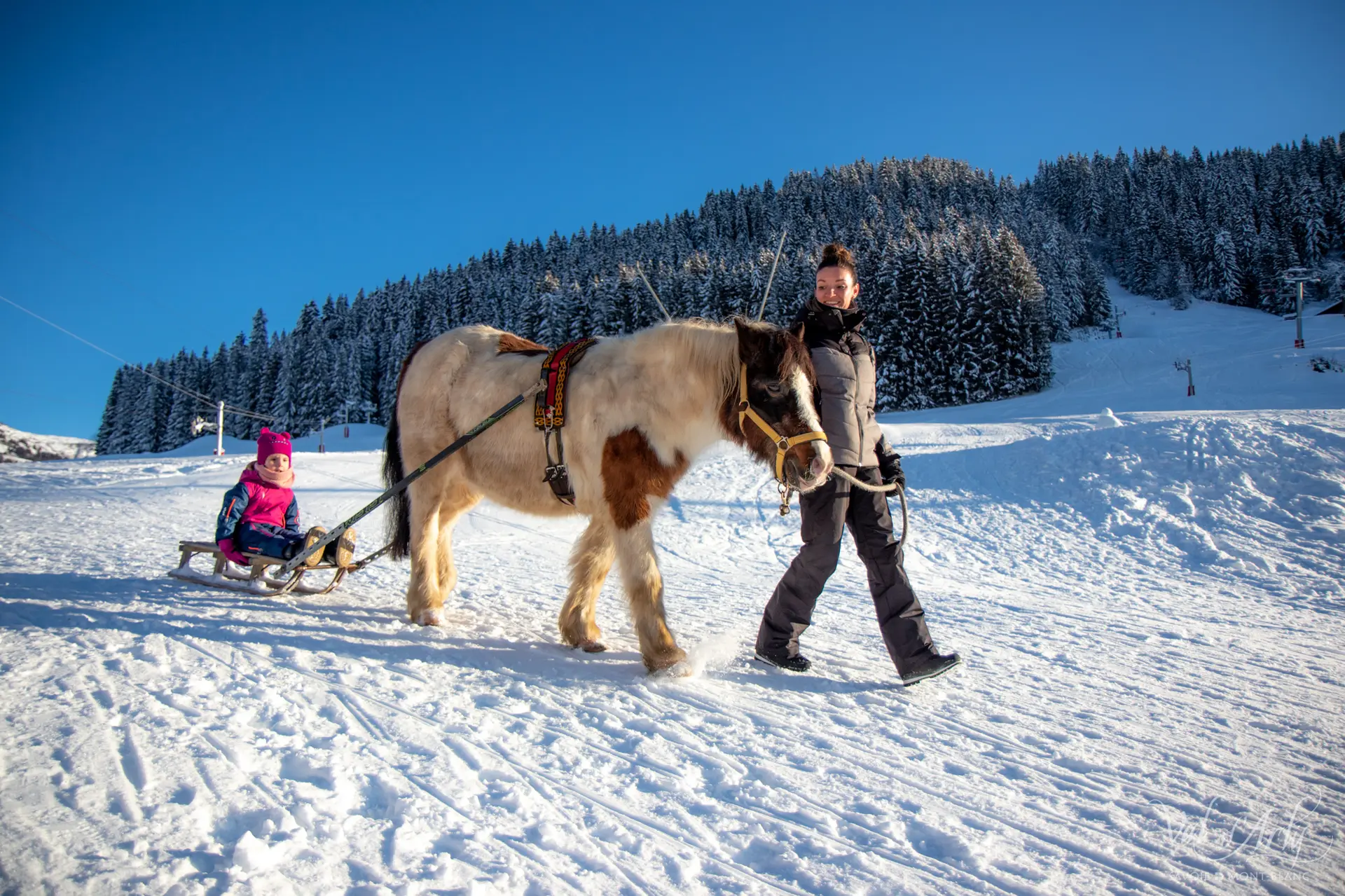 Poney Luge à Notre Dame de Bellecombe