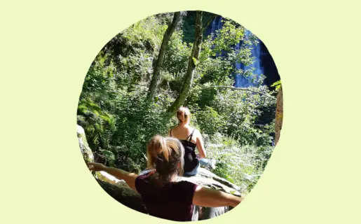 Photo d'un bain de forêt