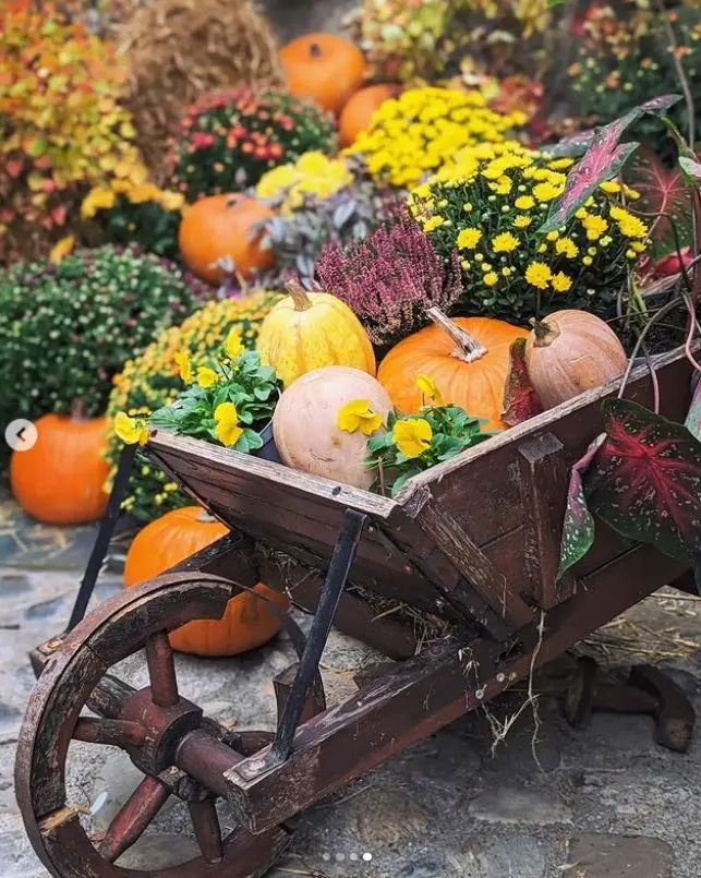 La soupe de la courge_Saint-Paul-de-Vence