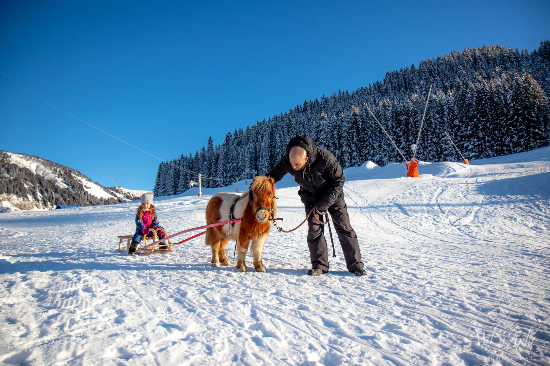 Poney Luge à Notre Dame de Bellecombe