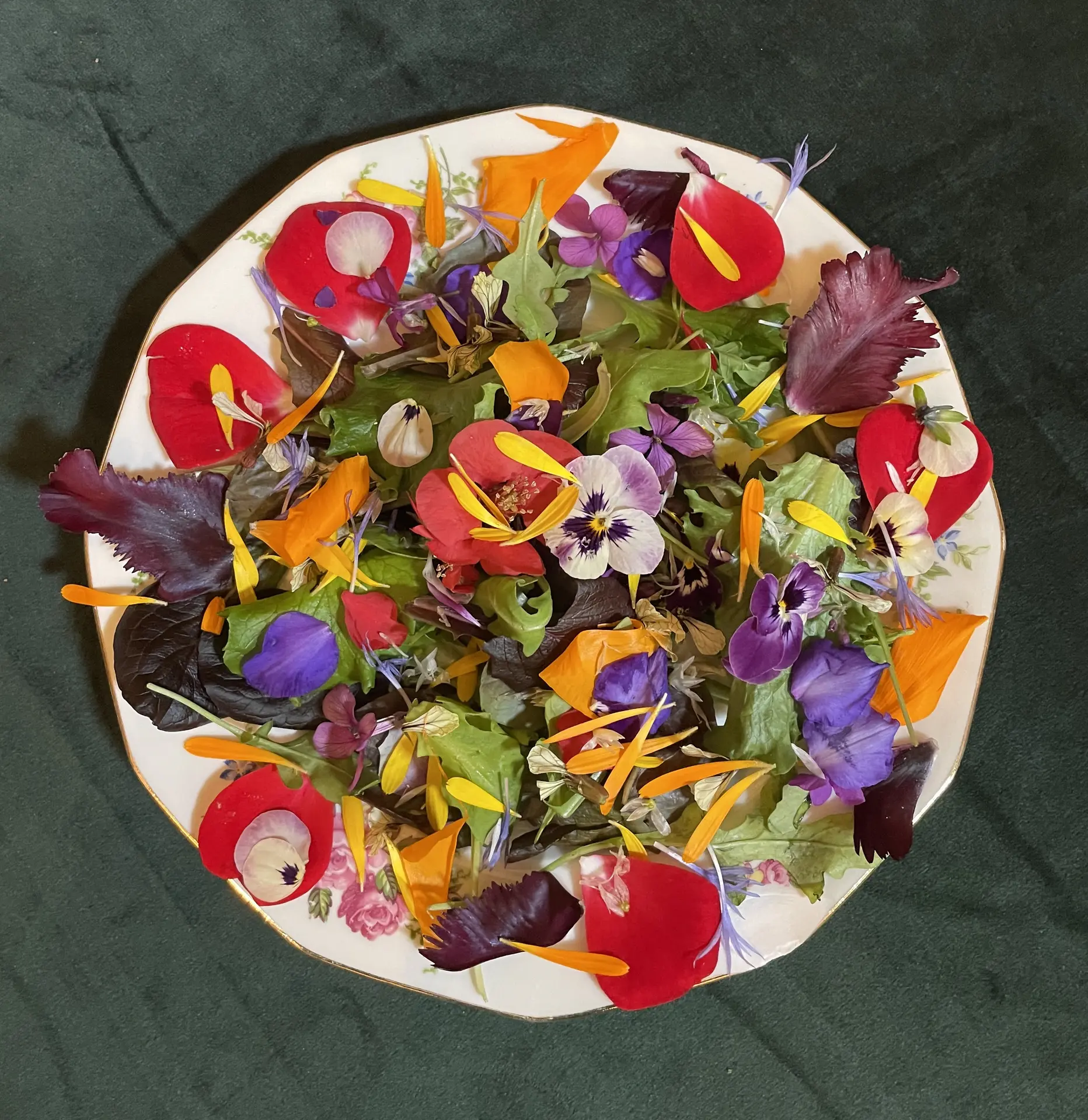 Atelier dégustation de fleurs comestibles