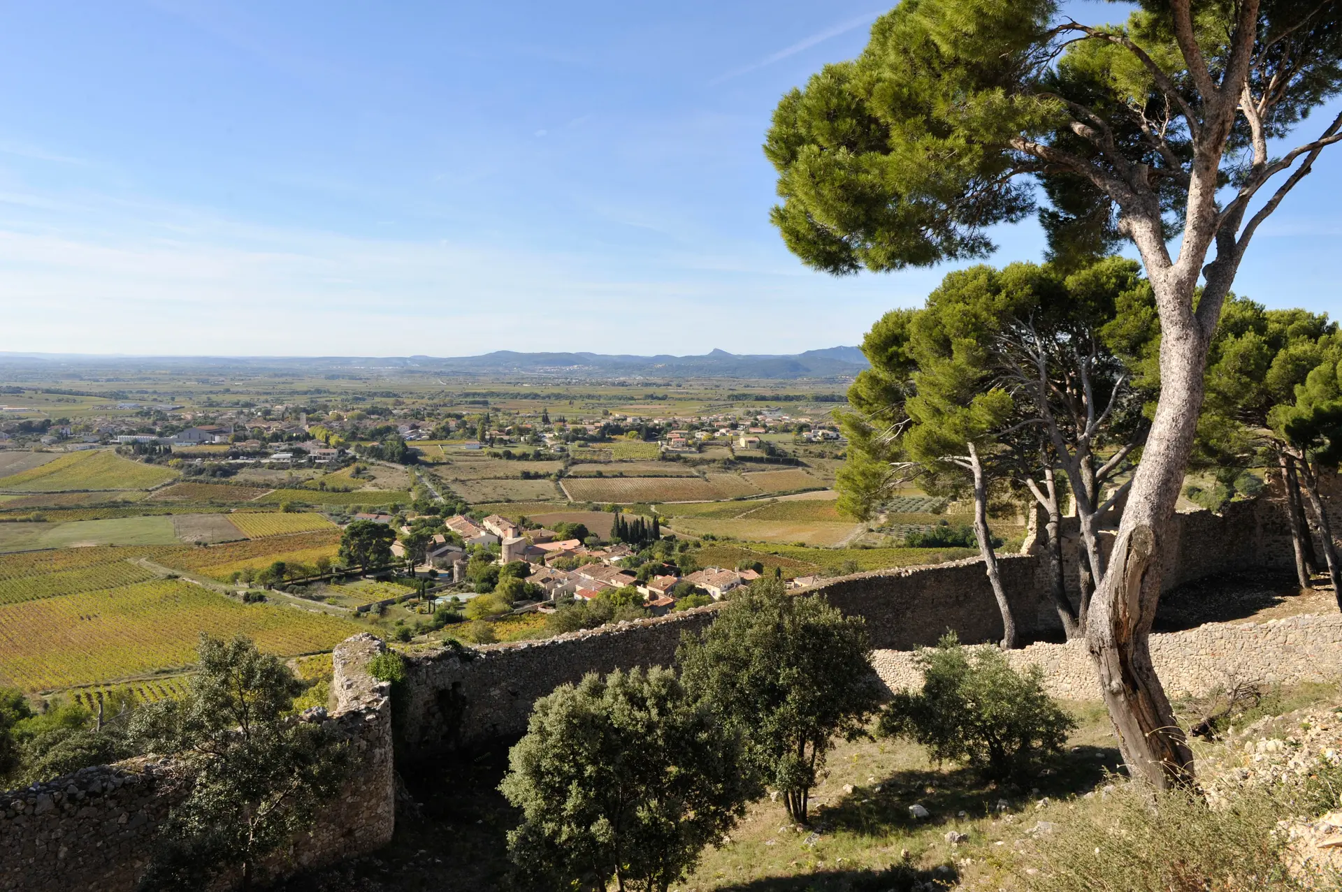 Terres-d-HERAULT