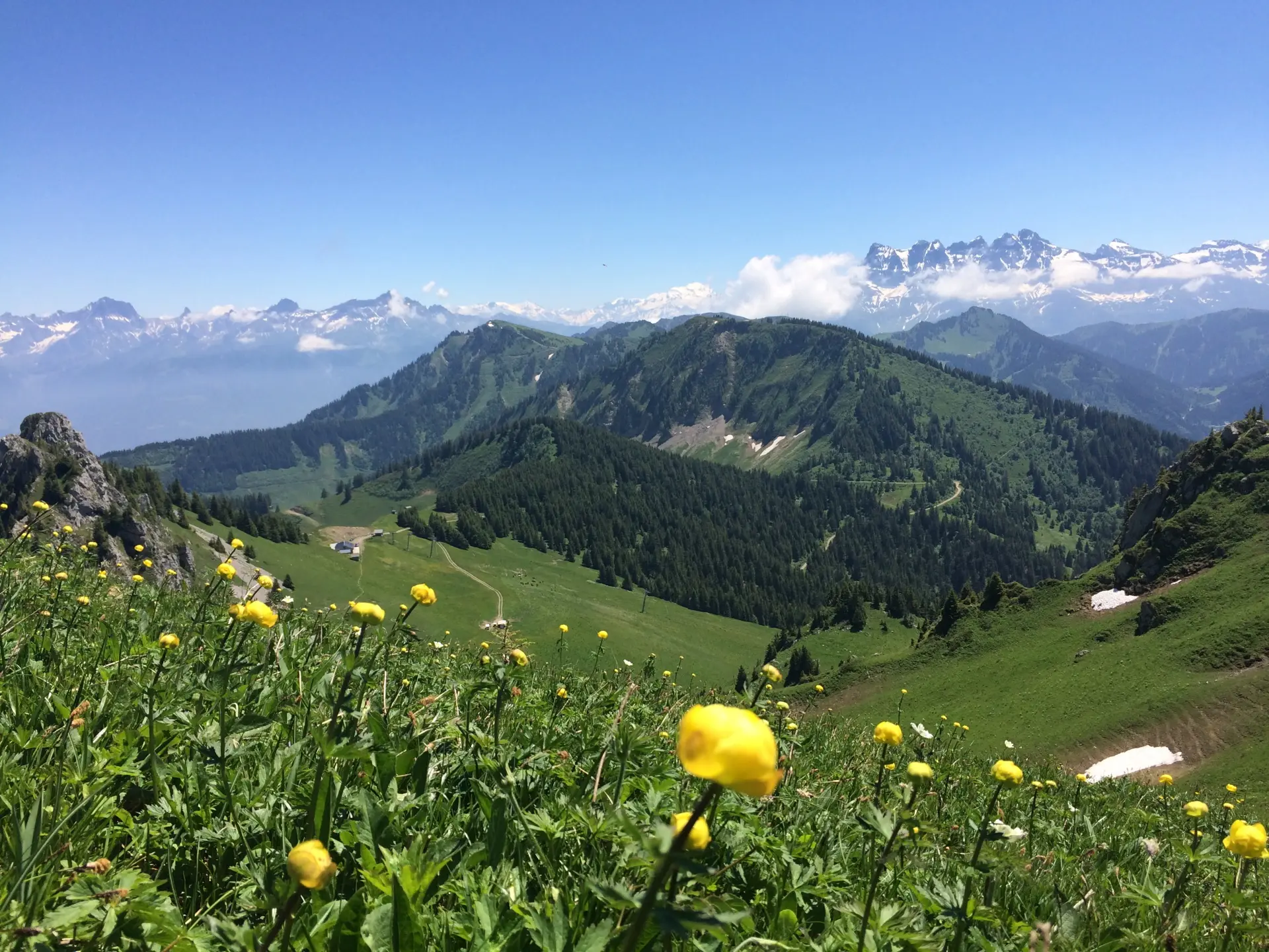 View on the Dents du Midi