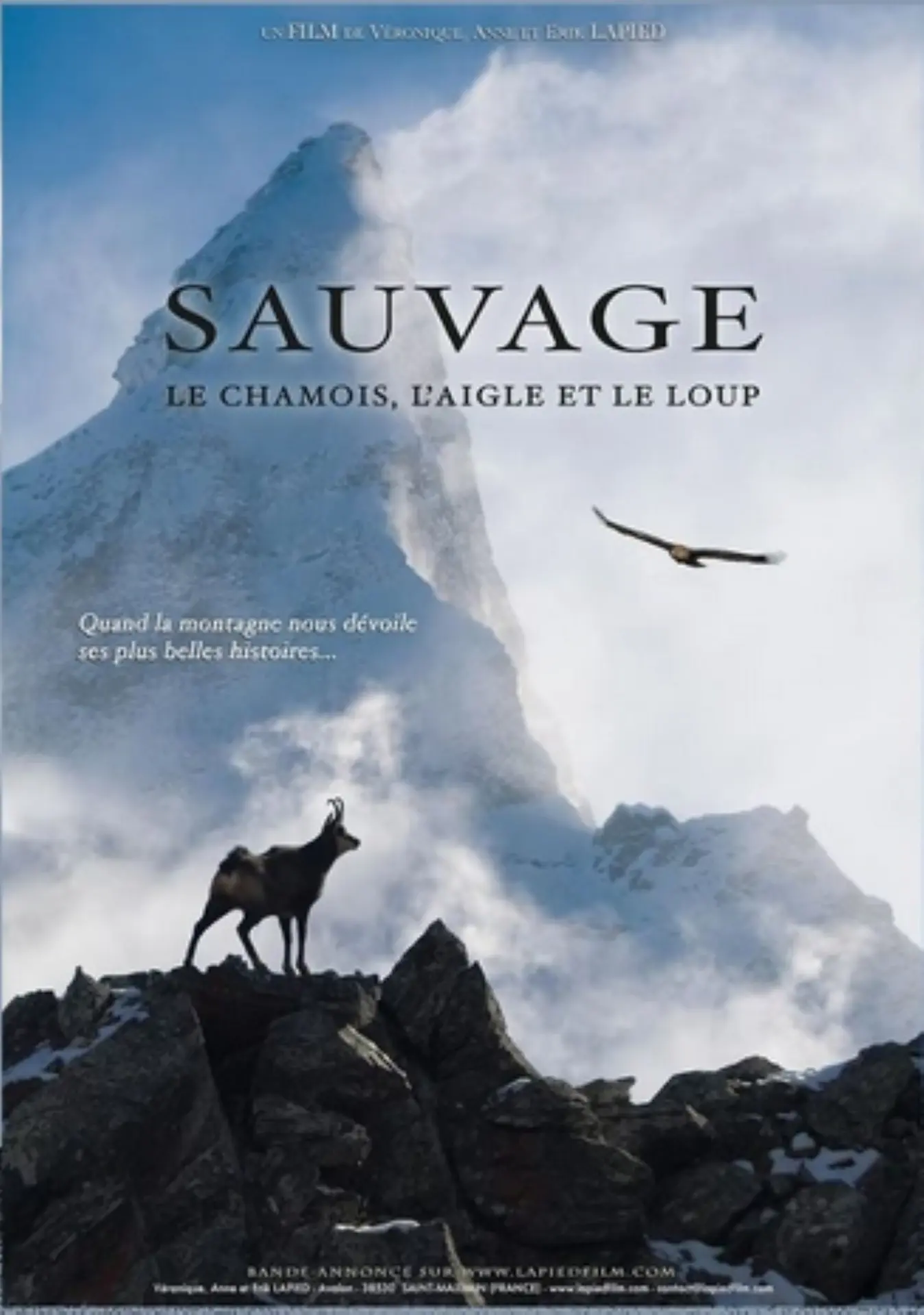Affiche Sauvage