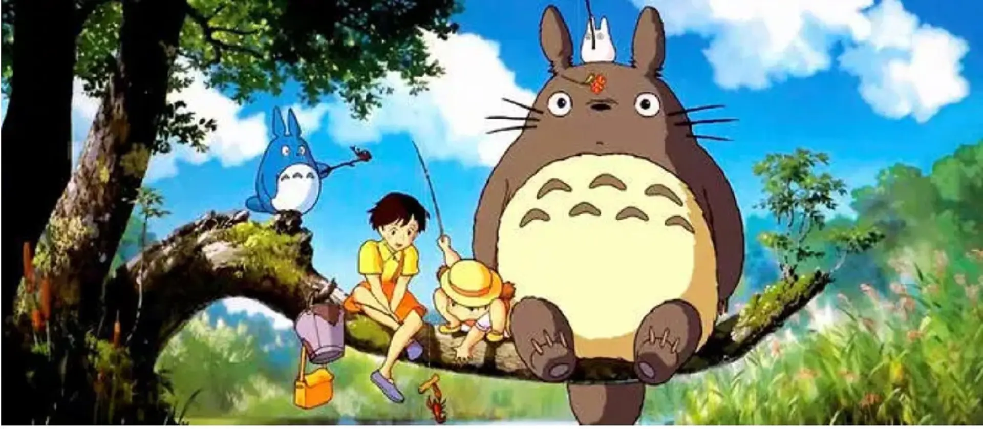 Mon voisin Tortoro