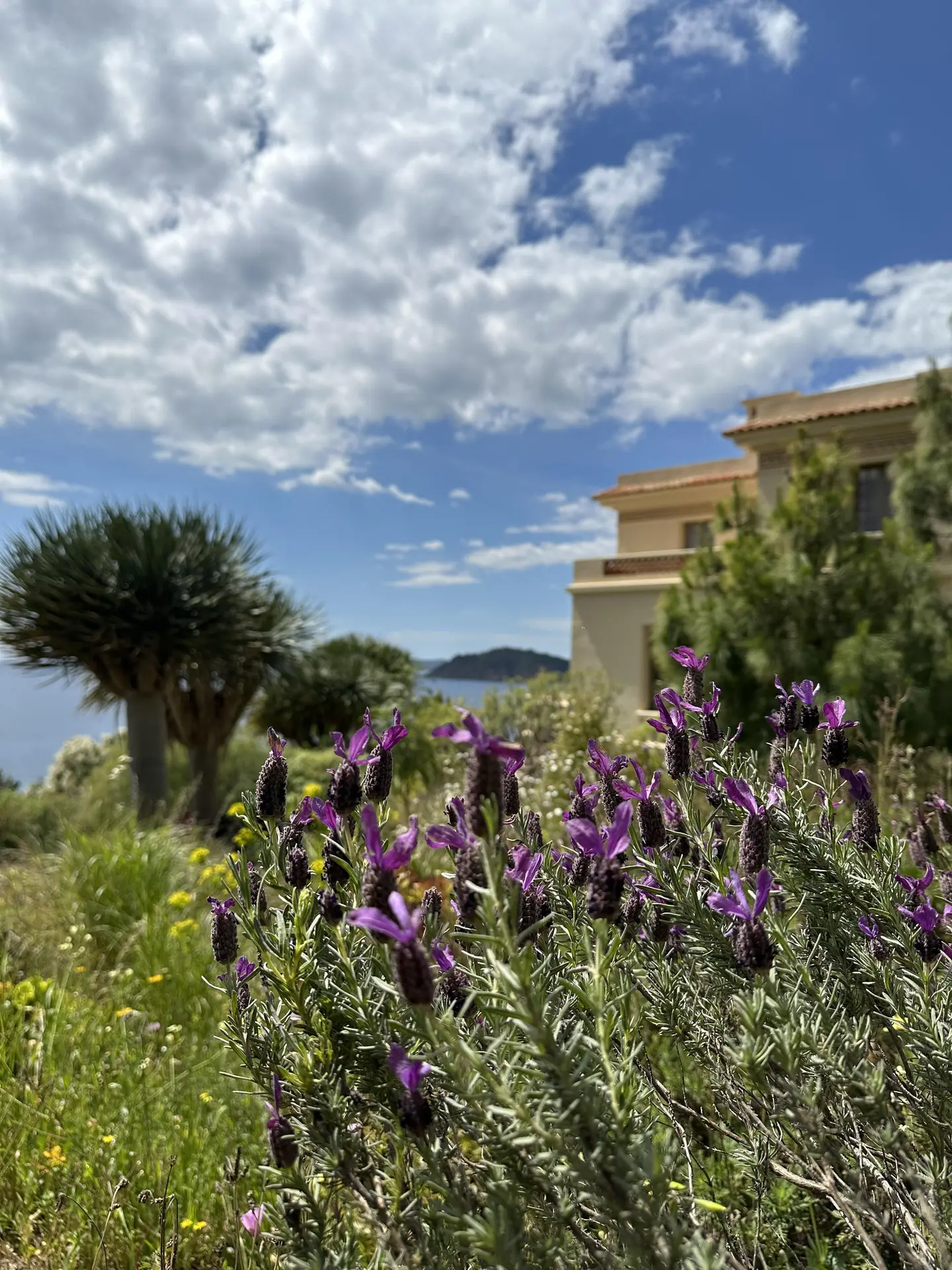 Fête de saison Printania_Rayol-Canadel sur Mer