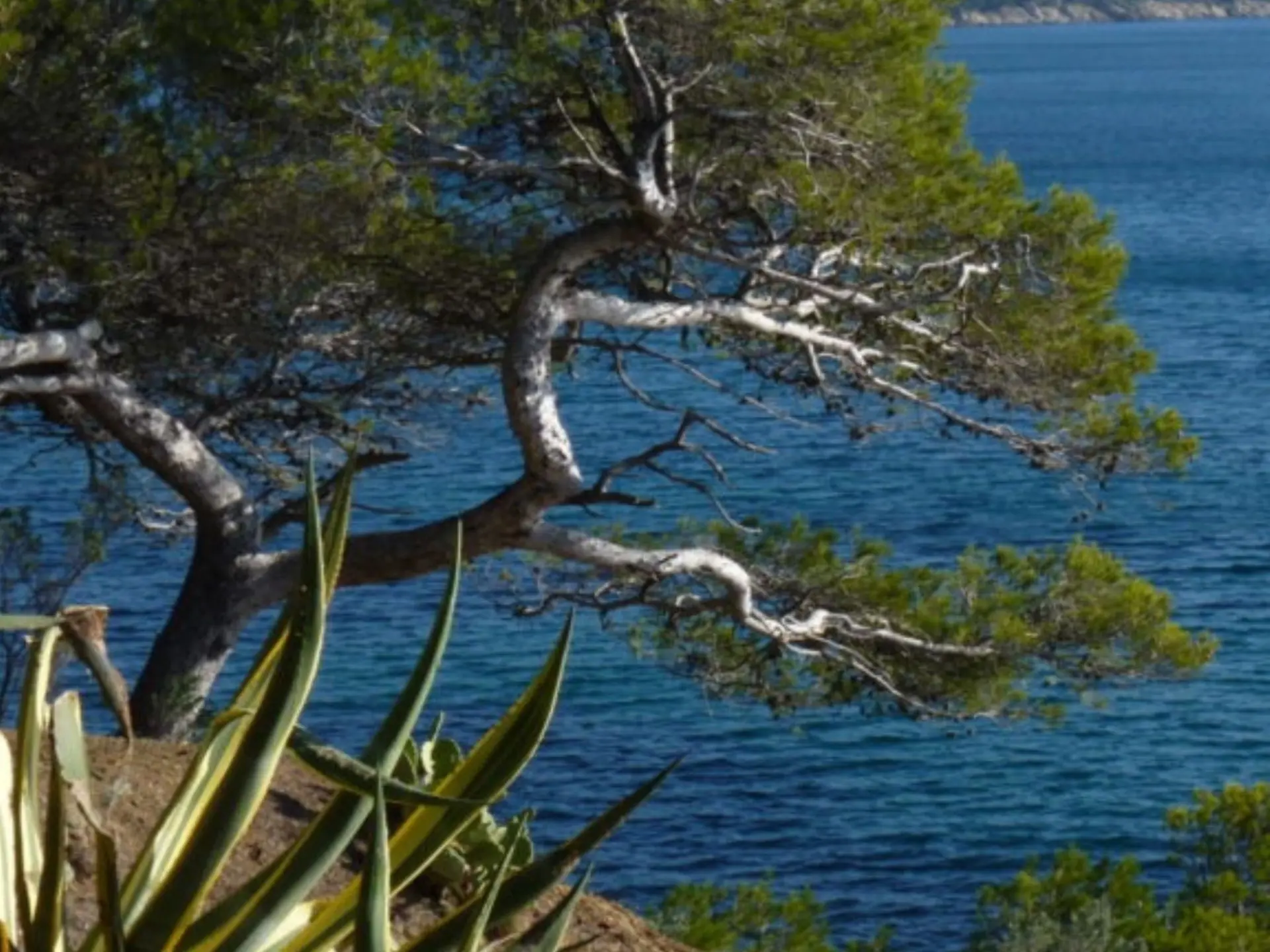 Hike Rivages