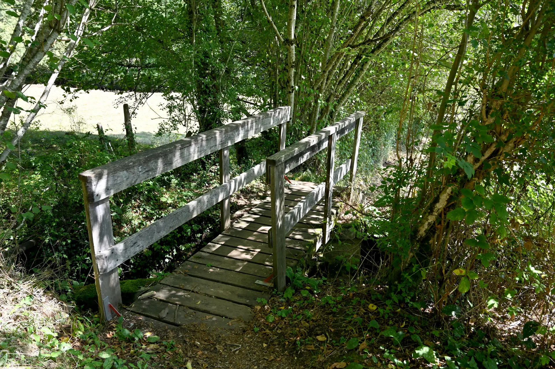 Passerelle en bois sur le chemin