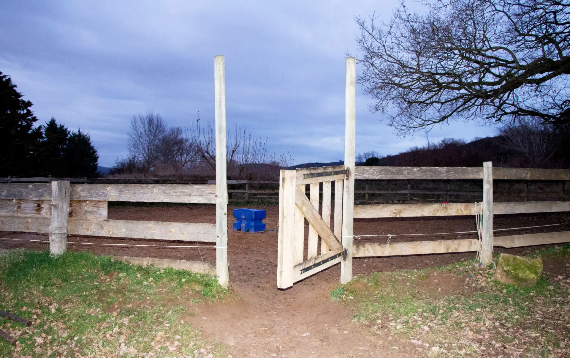 Exposition  Claire Dantzer – Le cheval de paille
