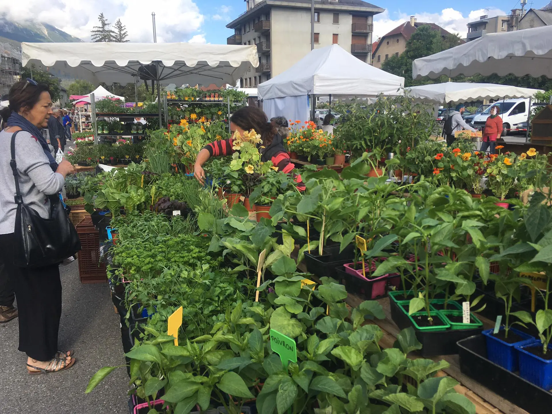 Foire aux plants de Barcelonnette