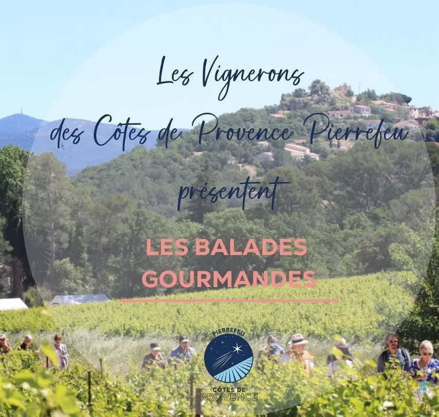 Balade, dégustation de vins et produits du terroir en Meidterranée Porte des Maures