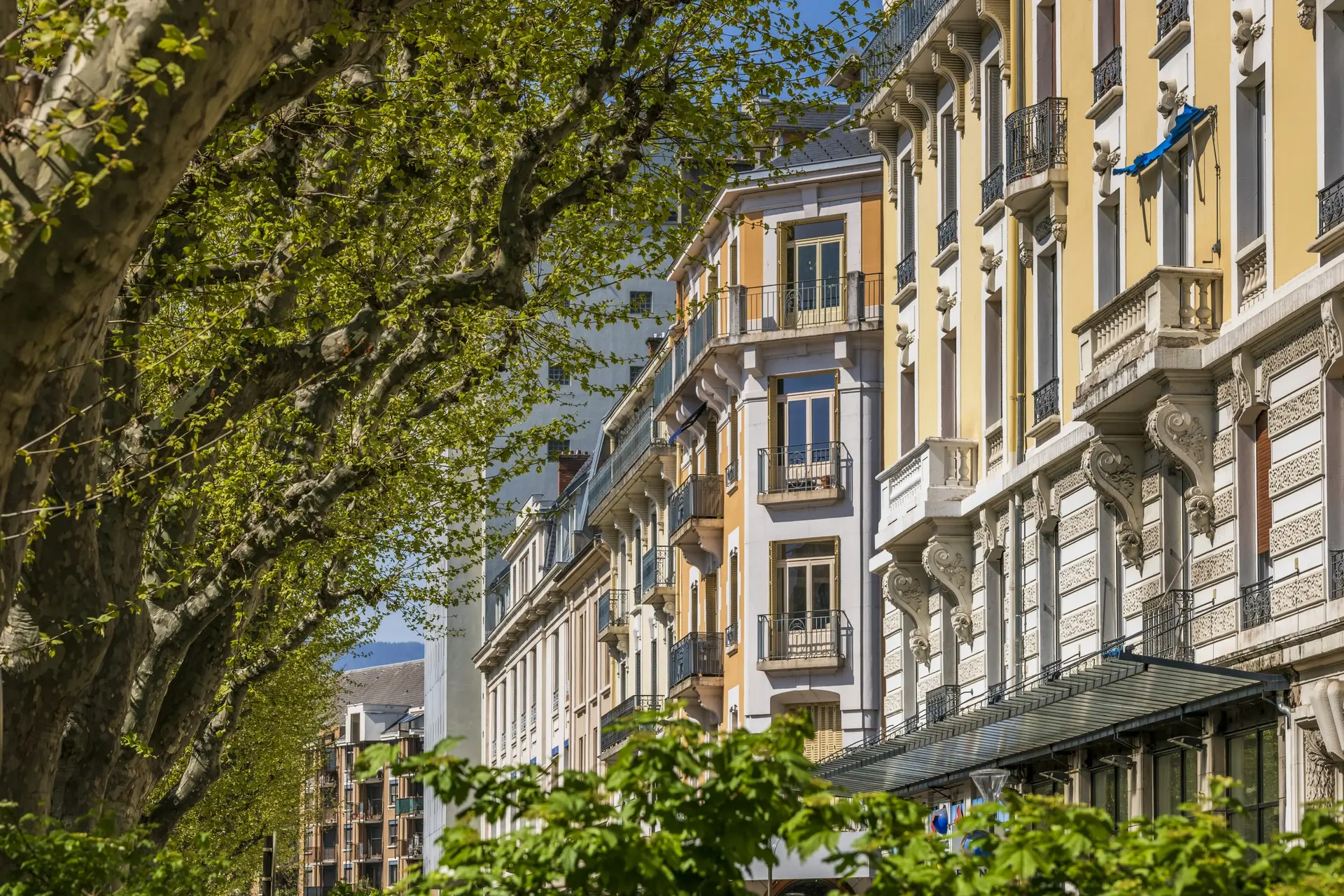 Quand le végétal inspire les architectes