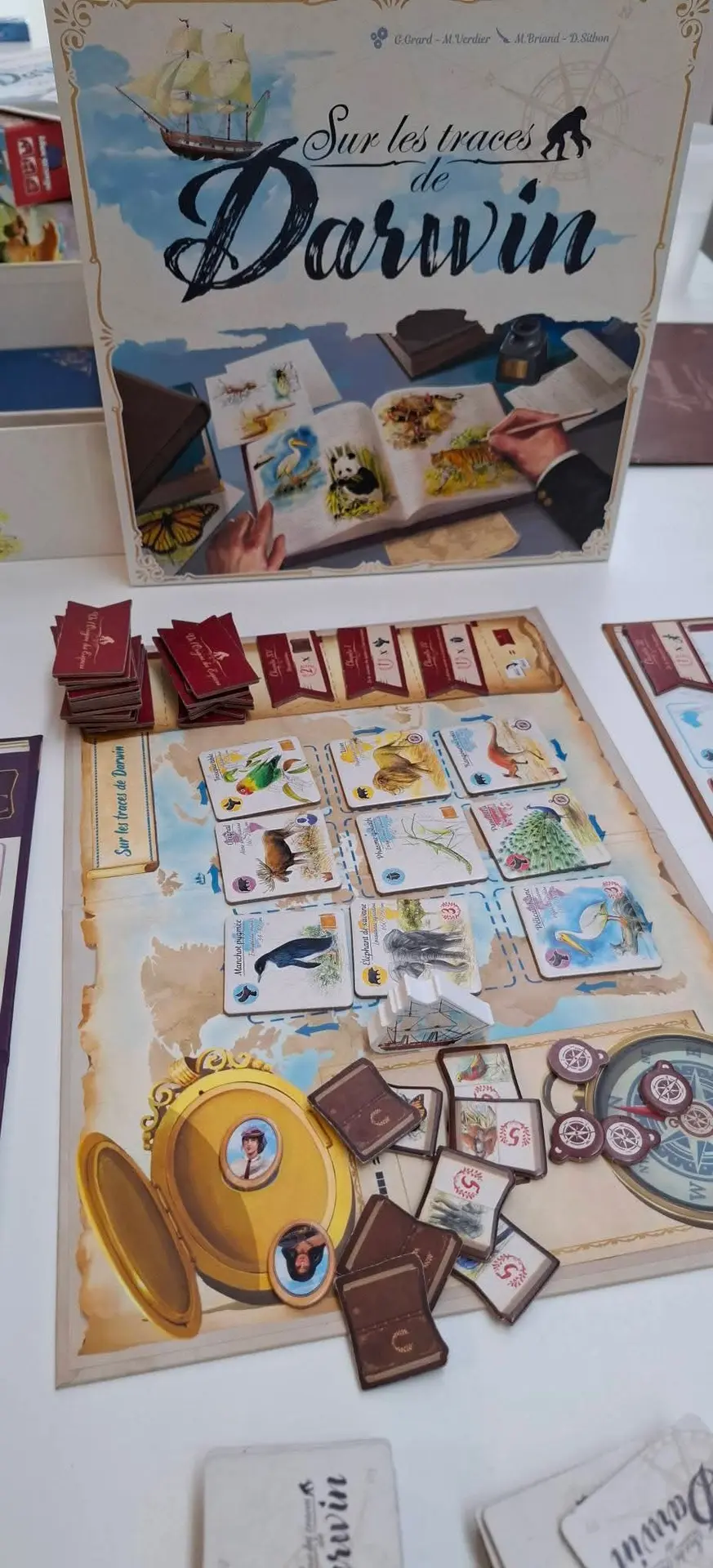 Sur les traces de Darwin aux bains ludiques