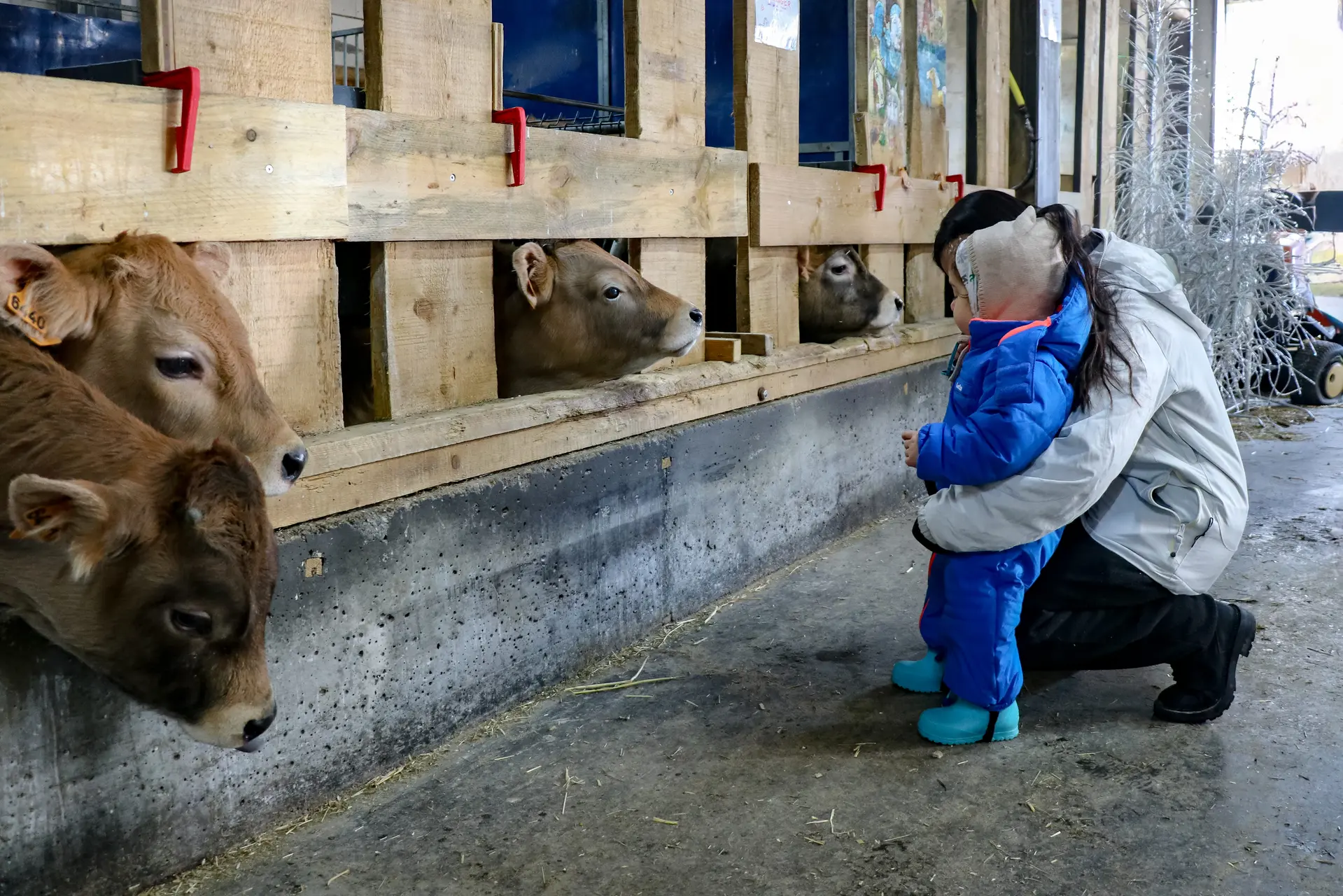 Rencontre à la ferme : visite guidée_Val-d'Isère