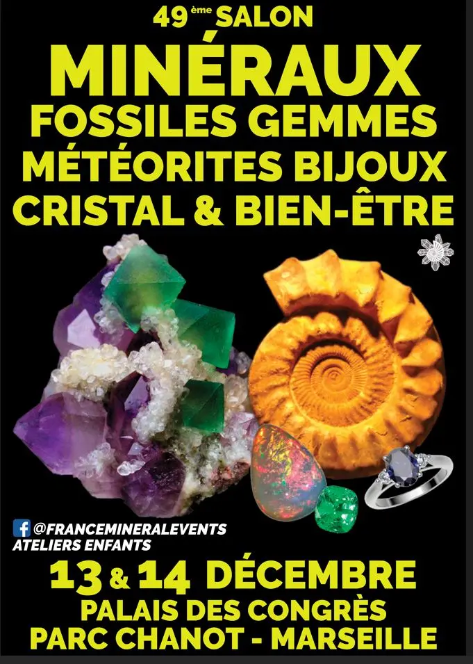 Salon des Fossiles et des Minéraux à Marseille
