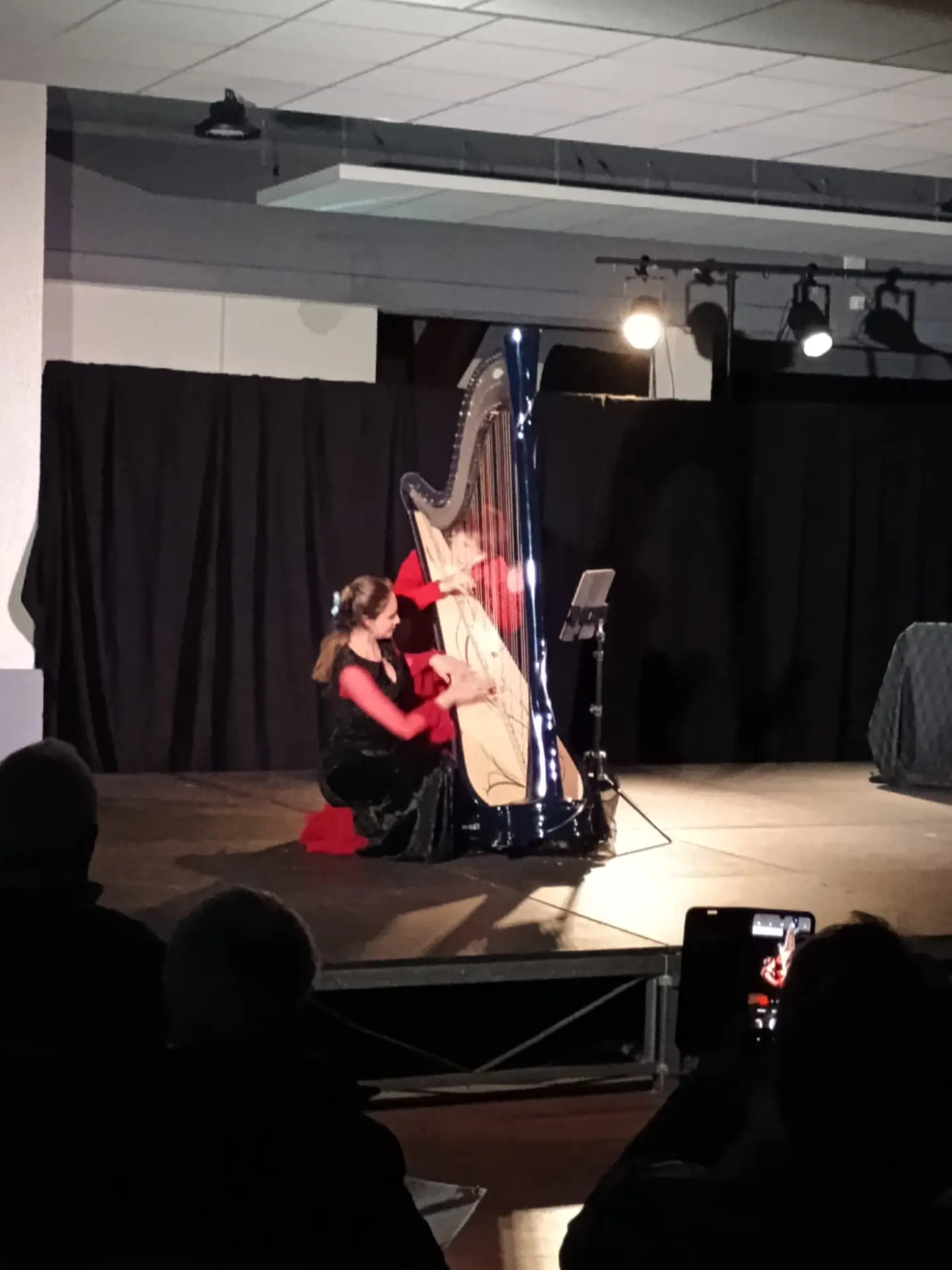 Cuerpo y Arpa, spectacle harpe et flamenco