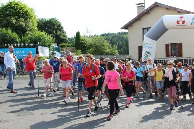 Félines 2018