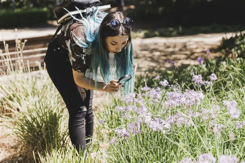 Une femme examine des plantes avec une loupe