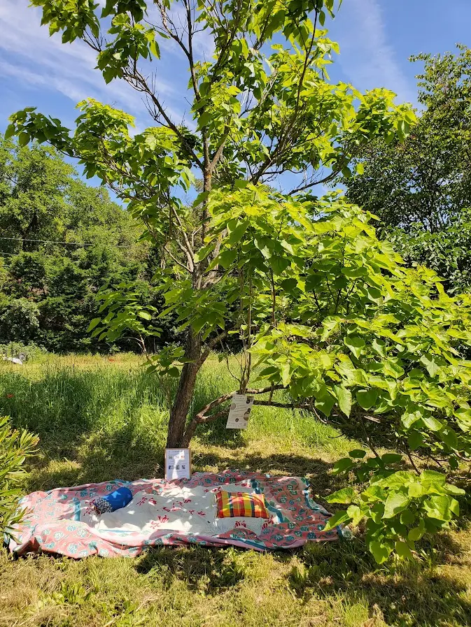 Créativité et bien-être