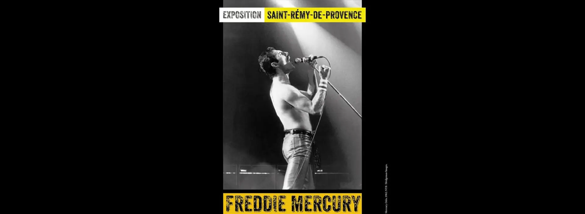 Exposition : Freddie Mercury, ne dis jamais