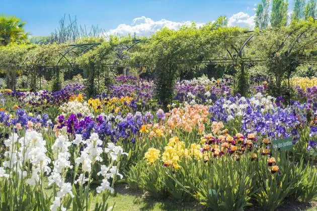 jardins