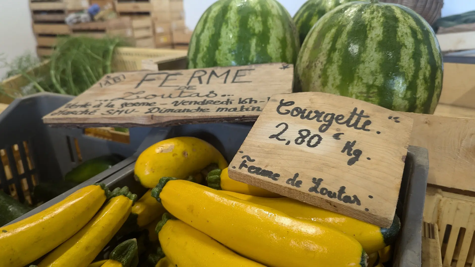 Cagettes avec des courgettes jaunes et des pastèques à l'arrière plan.