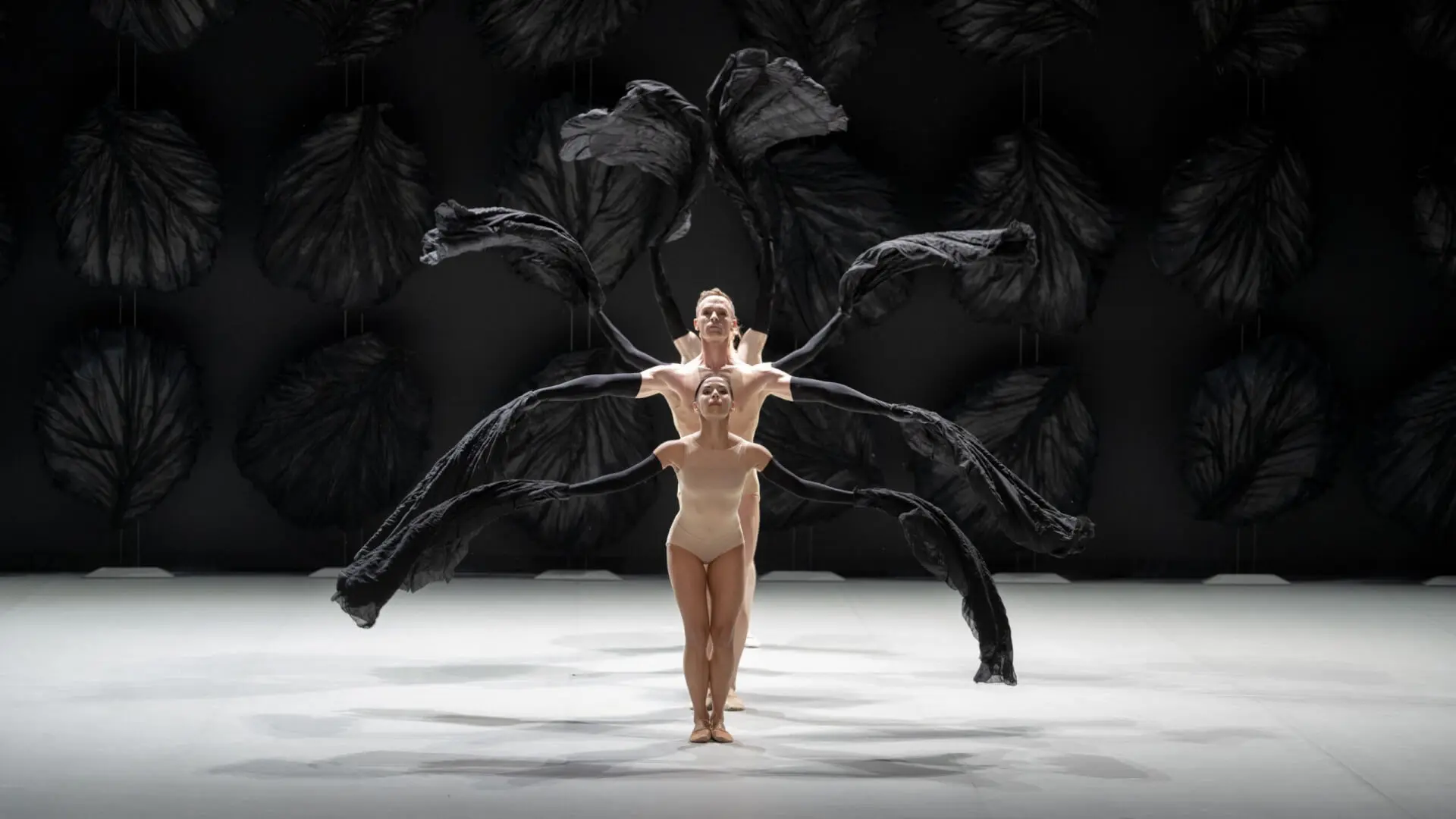 Ballet Les Saisons