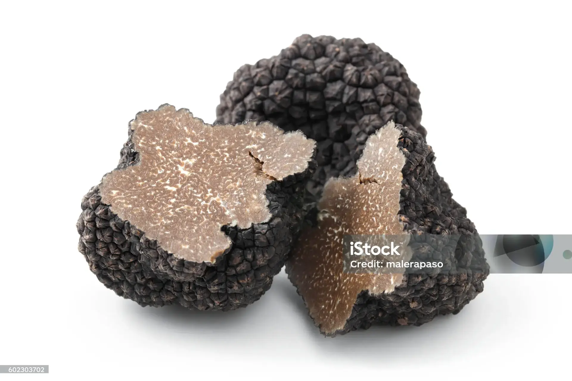 Fete de la truffe à La Tour d'Aigues_La Tour-d'Aigues