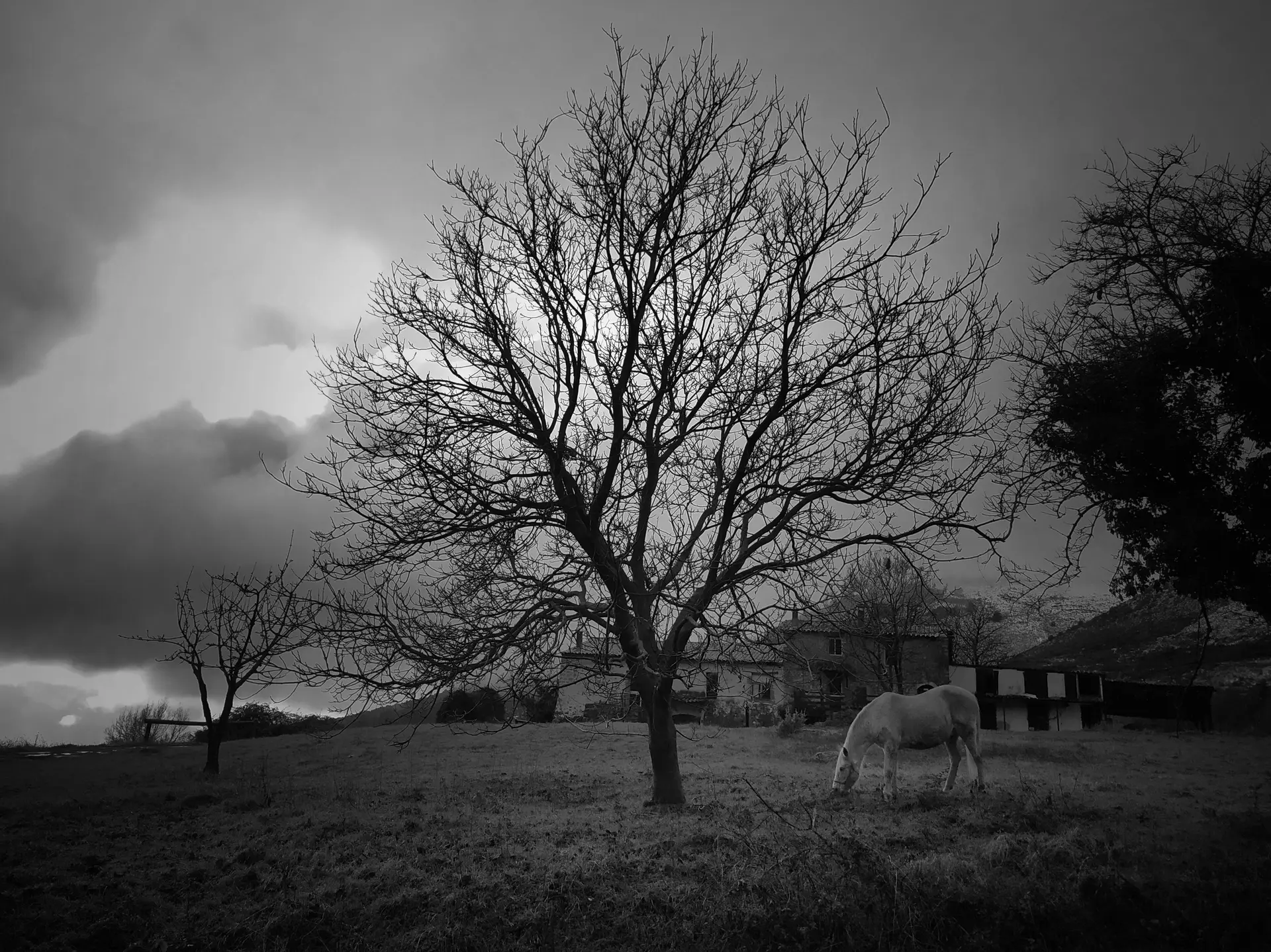 EXPOSITION PHOTOS_Saint-Paul-de-Vence