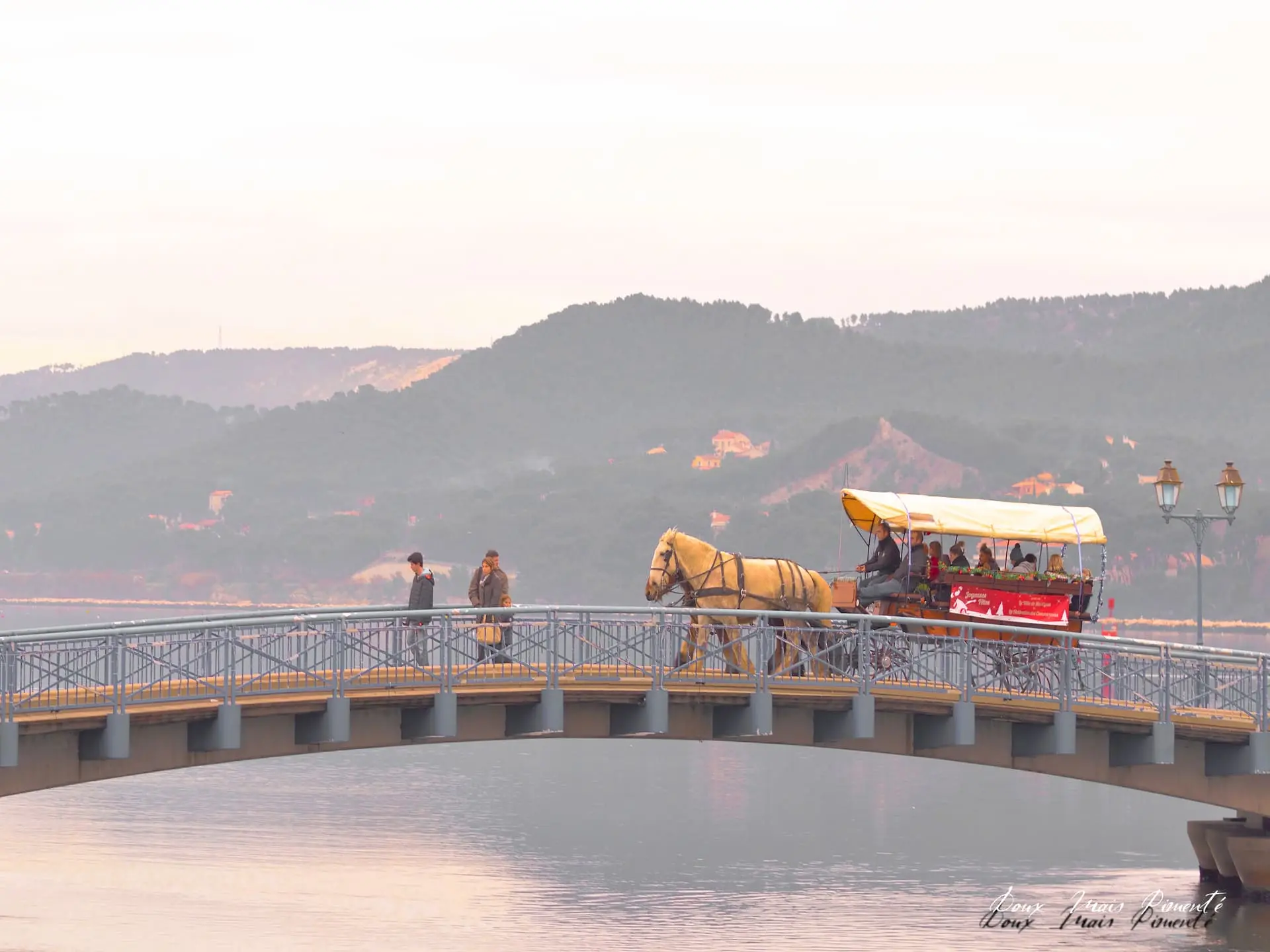Spaziergänge mit der Pferdekutsche