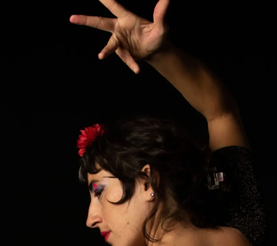 artiste geste flamenco