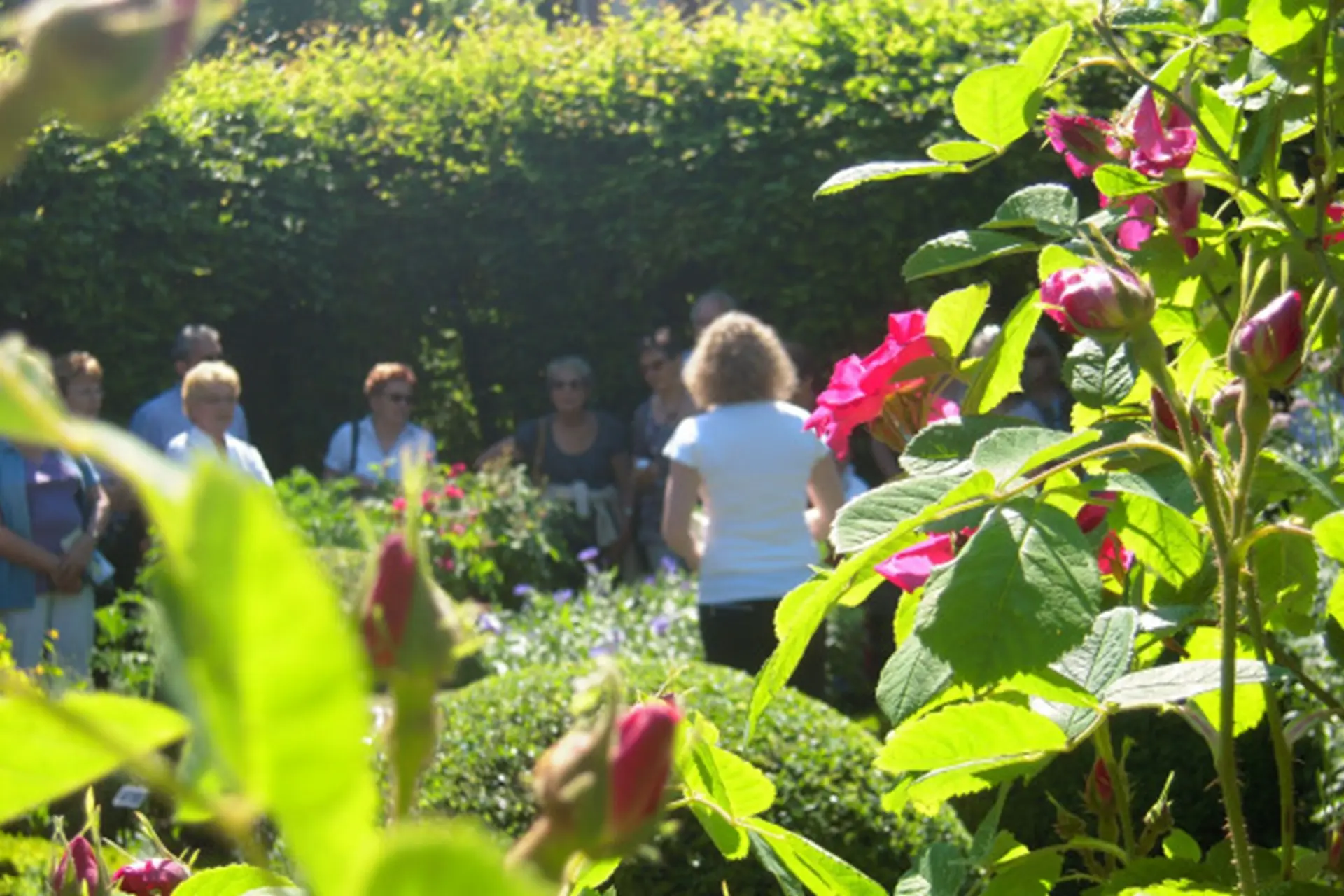 Photo prise lors d'une visite au Jardin