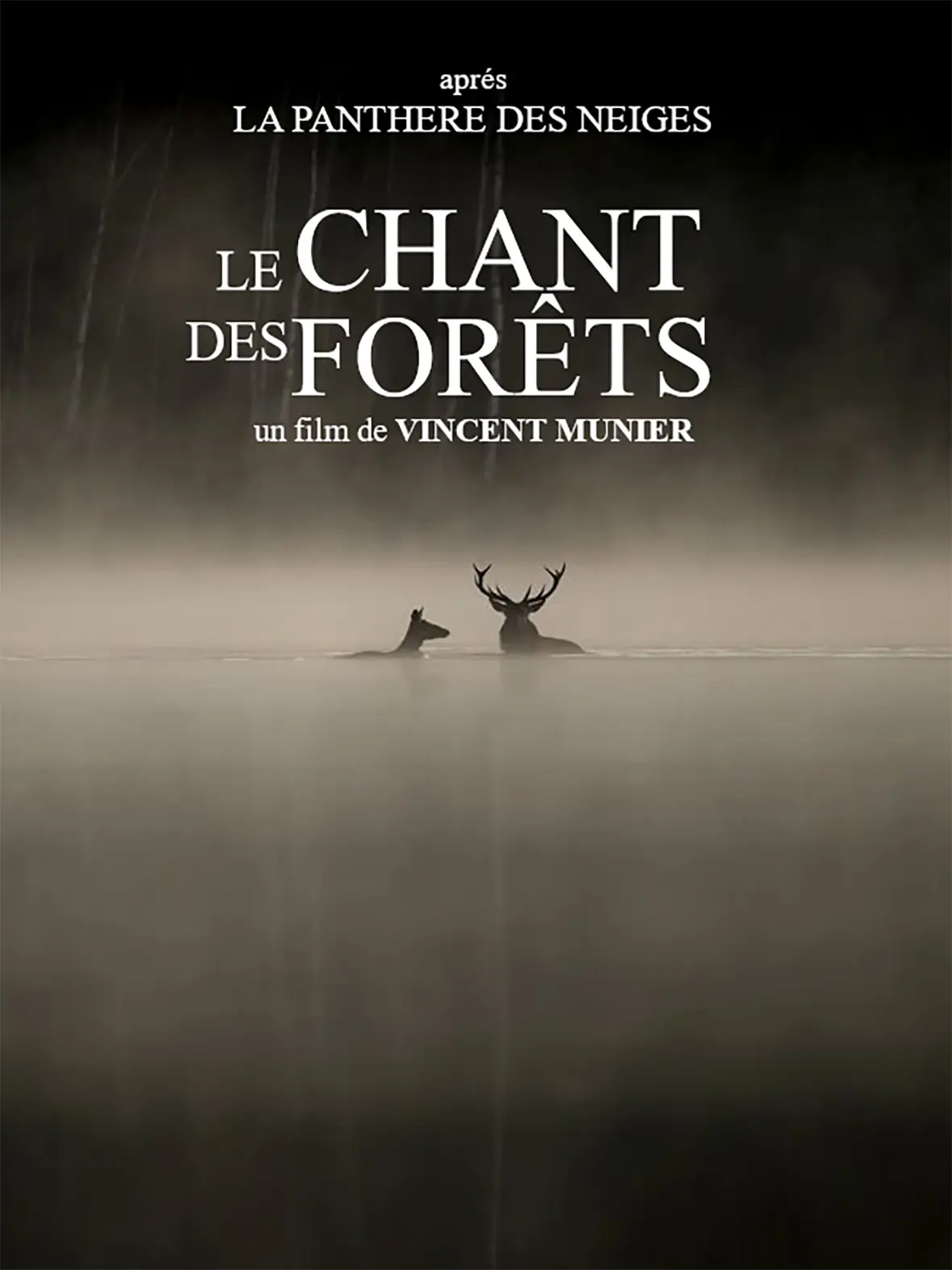 Le chant des forêts