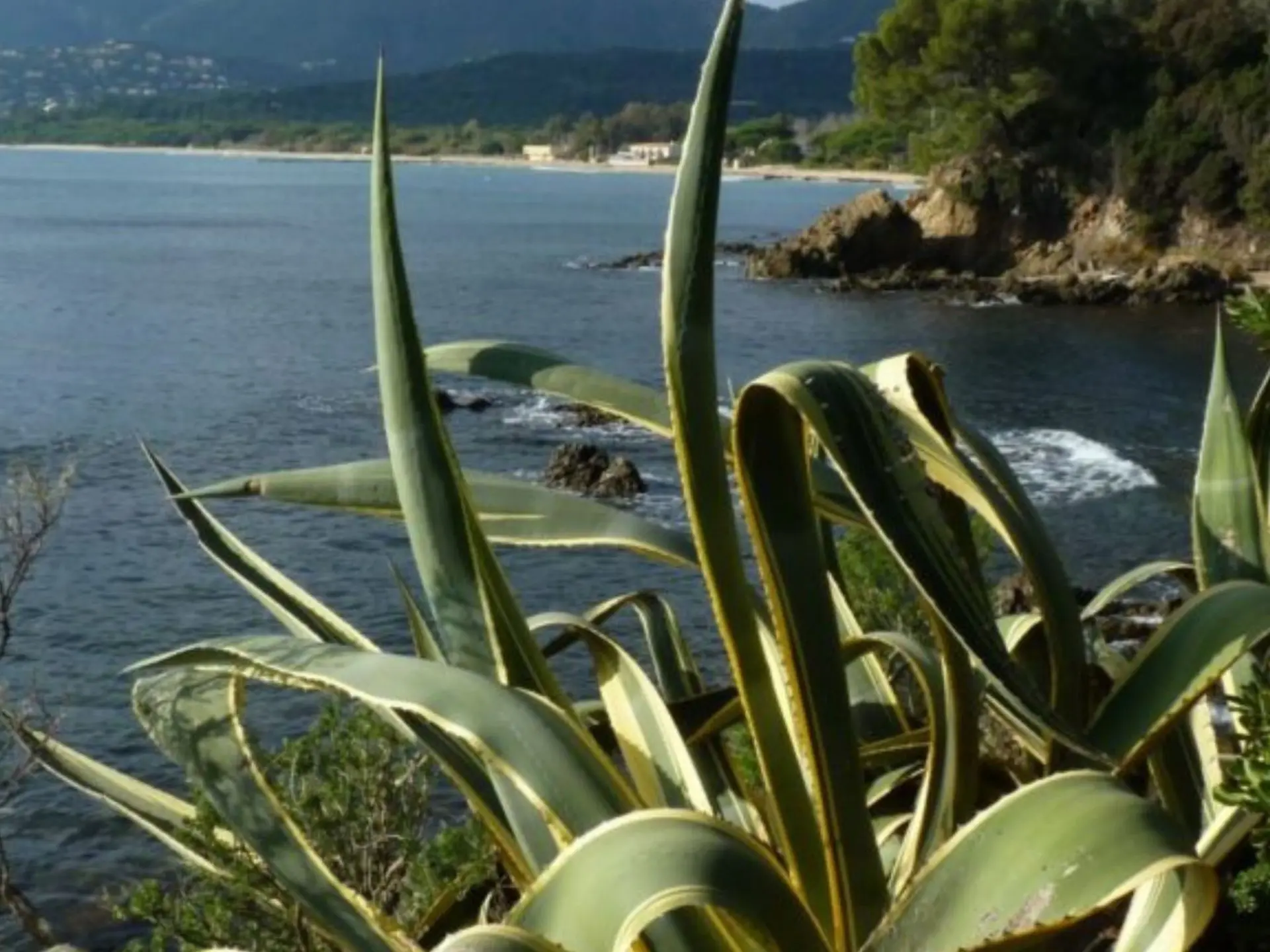 Hike Rivages