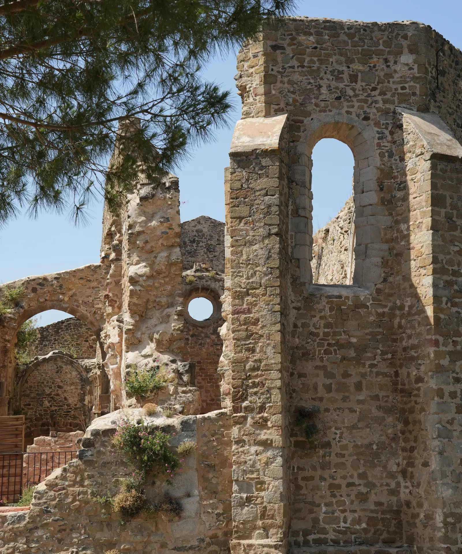 Exposition au Site Saint-Pons_Collobrières