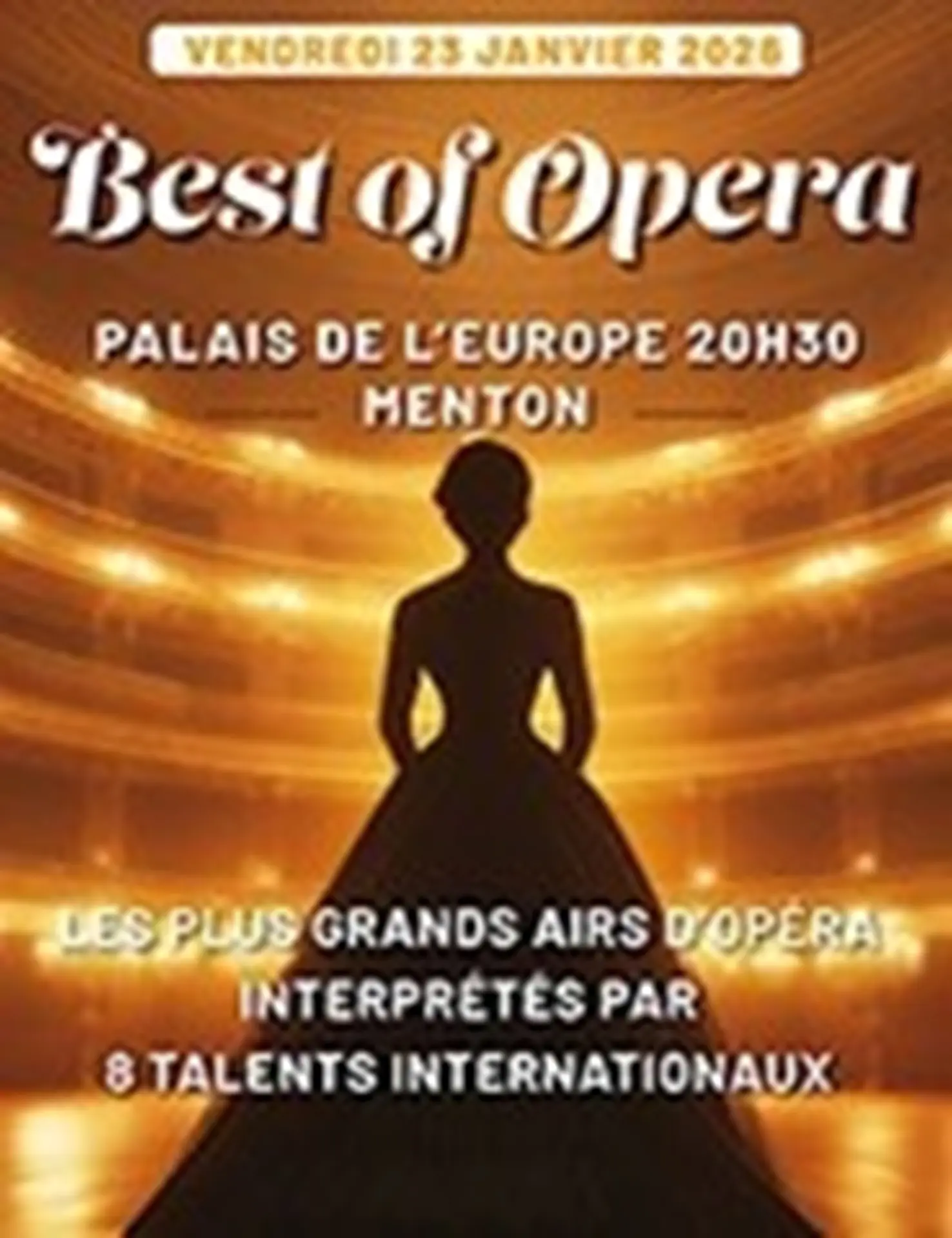 Affiche du concert