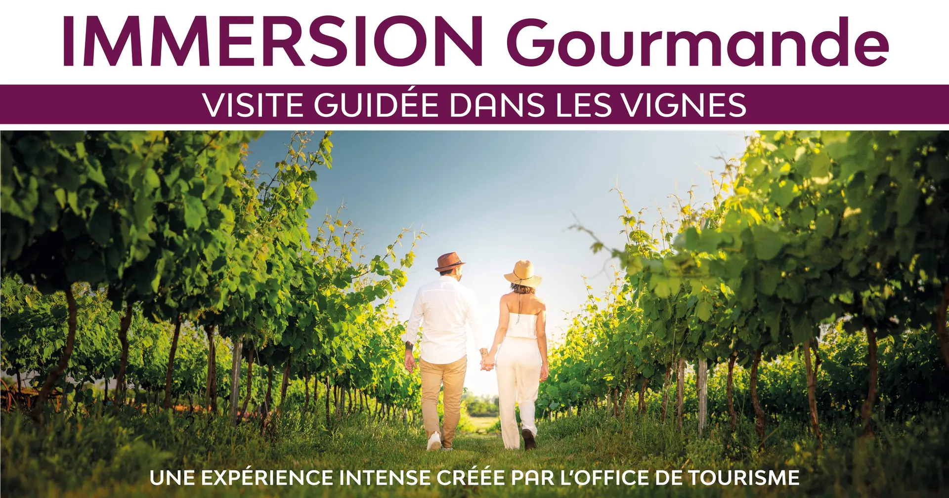 Immersion gourmande : Balade dans les vignes_Sainte-Maxime