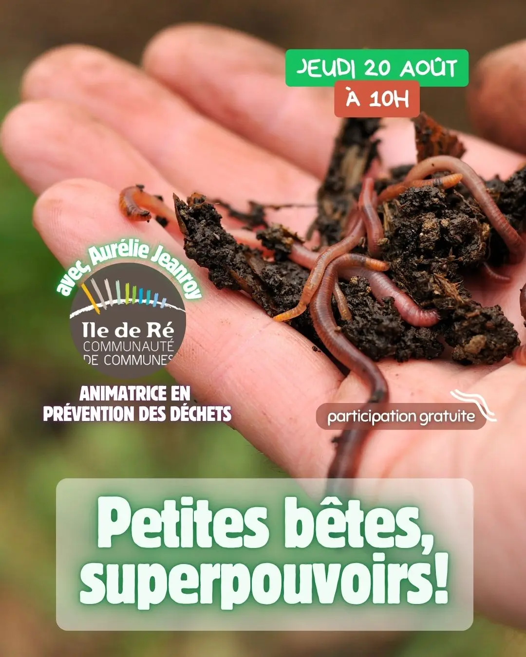 Tiny Creatures, Superpowers!_La Couarde-sur-Mer