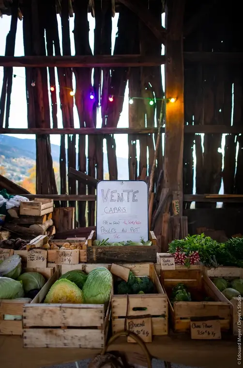 Étal de marché dans une petite grange avec des légumes hivernaux dans des cagettes en bois.