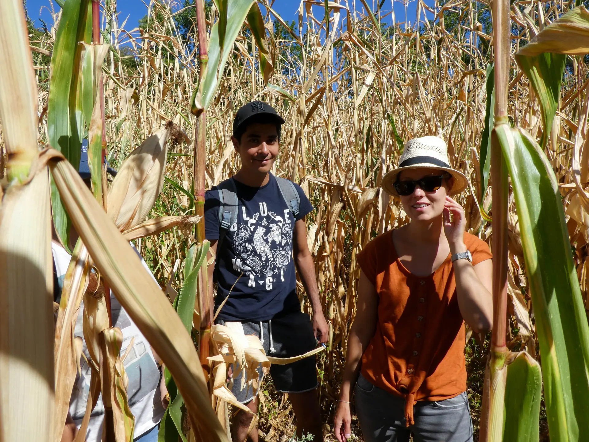 labyrinthe végétal en famille