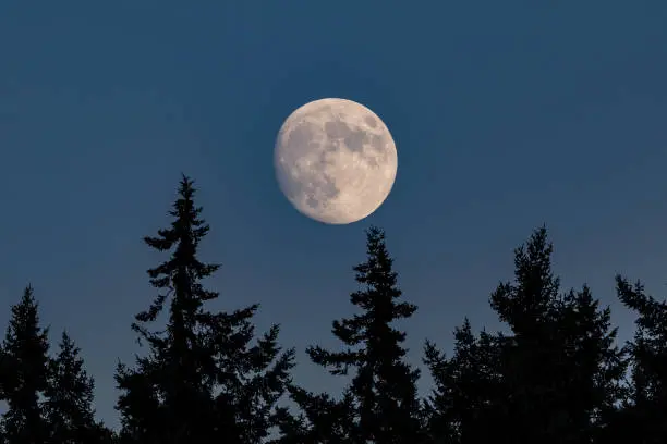 Pleine lune de l'éveil